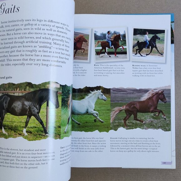 Horses: The Ultimate Treasury - Picture 2 of 3